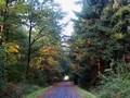 16_kö_J29-30_ rennweg_2014.jpg